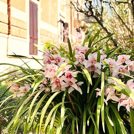 Villa Michelangelo Deluxe Рим Экстерьер фото
